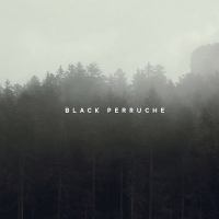 27_blackperruche-front.jpg